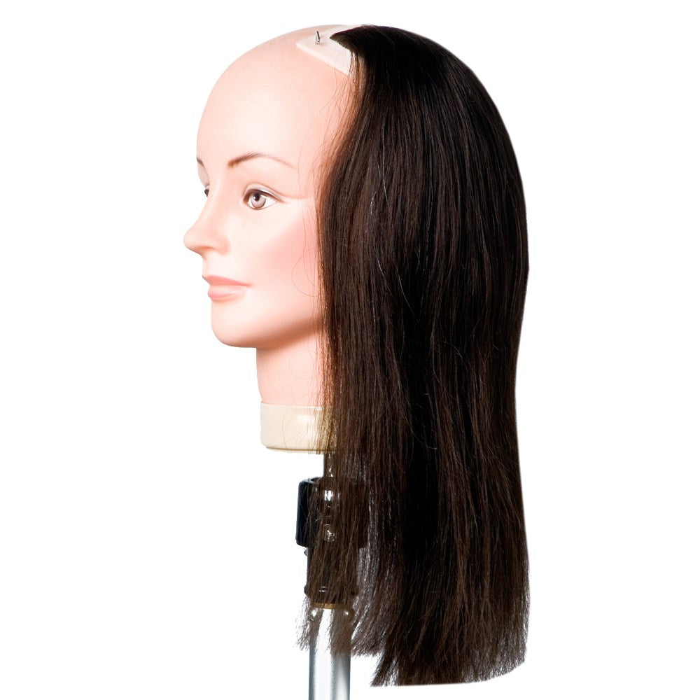 DATELINE PROFESSIONAL CLIP ON LEFT PROFILE