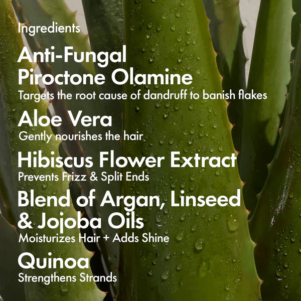 BONDI BOOST Dandruff Repair Conditioner