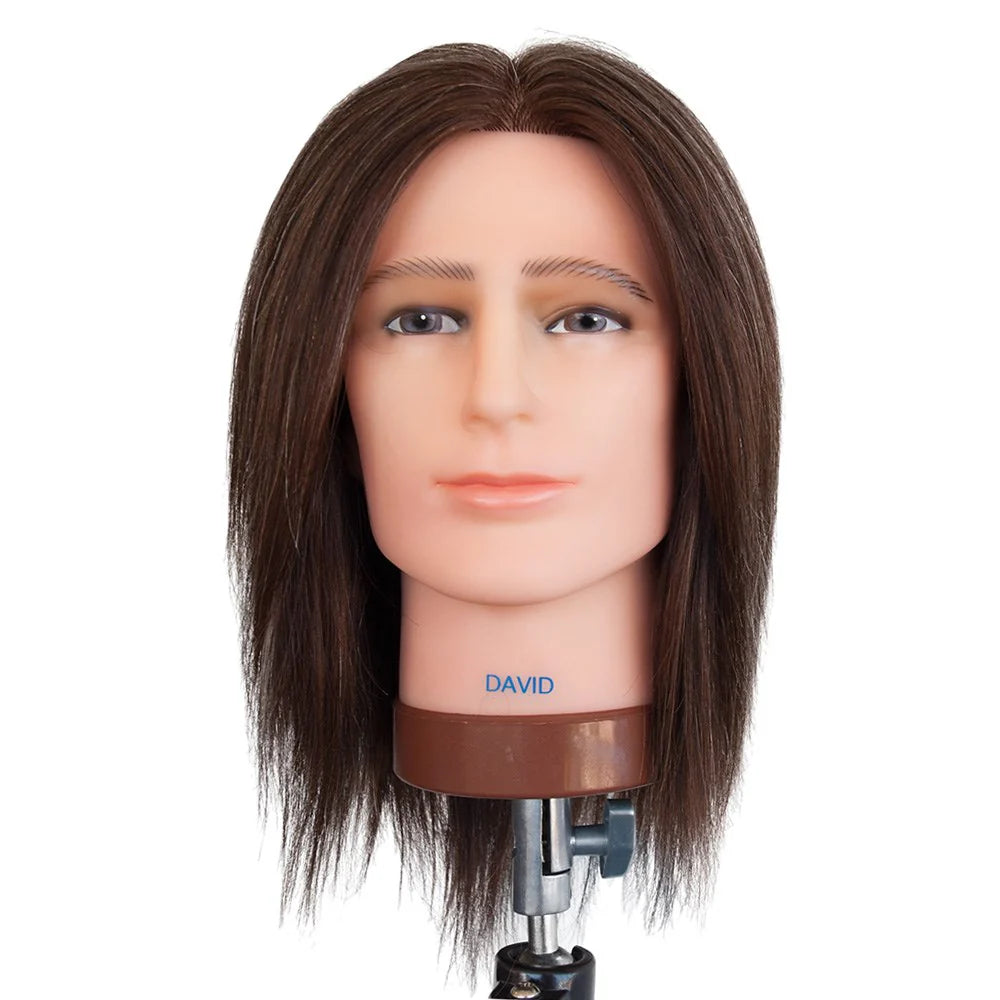 DATELINE PROFESSIONAL DAVID WITHOUT BEARD MANNEQUIN