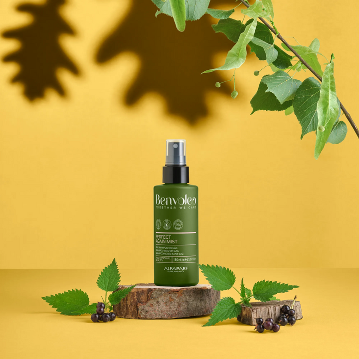 ALFAPARF BENVOLEO PERFECT AGAIN MIST DRY SHAMPOO (NO GAS) 150ML