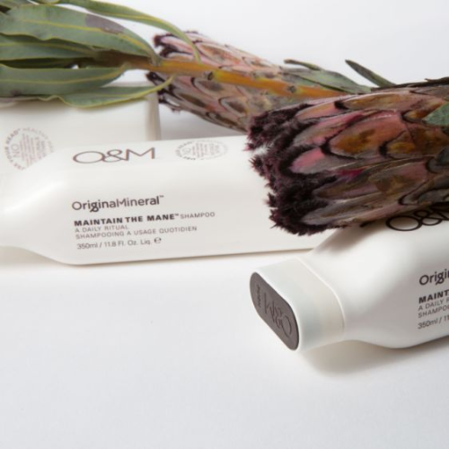 O&M Maintain the Mane Shampoo | Various Sizes