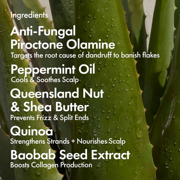 BONDI BOOST Dandruff Repair Hair Mask