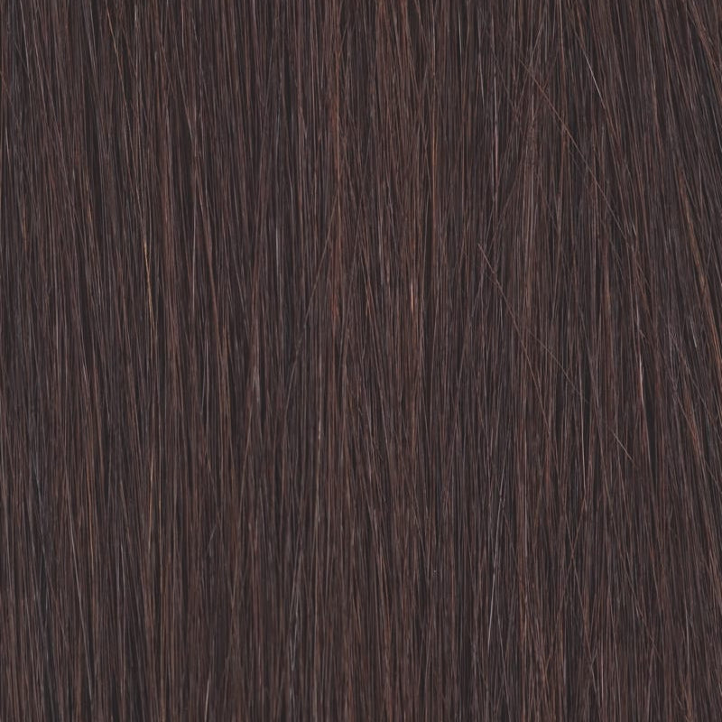 HAIR FOREVER TAPE EXTENSION 10 PIECE 12" #2