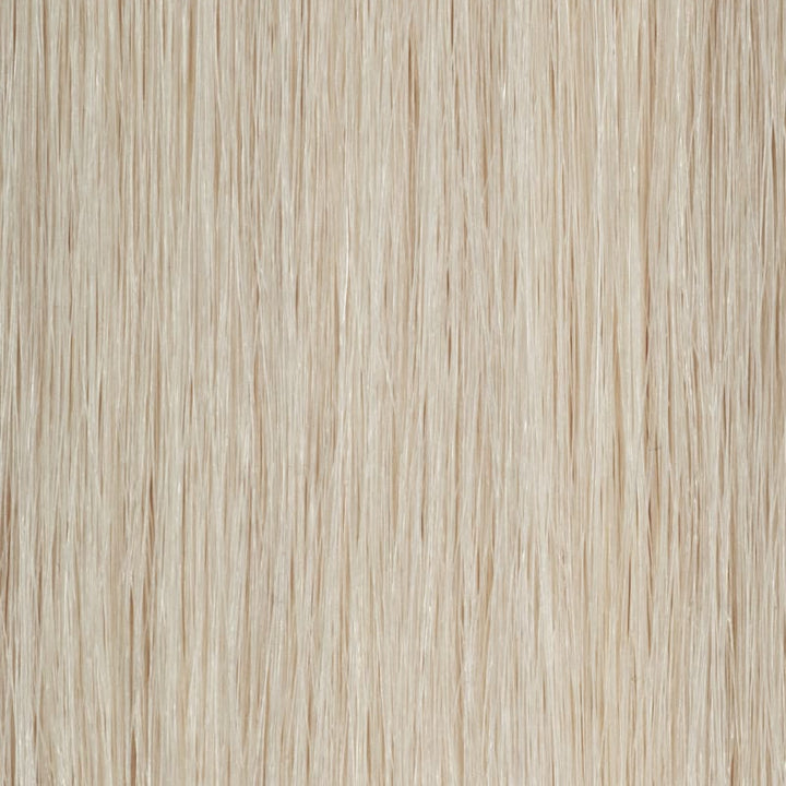 HAIR FOREVER Tape Extension 10 Piece 12" |  Various Colours