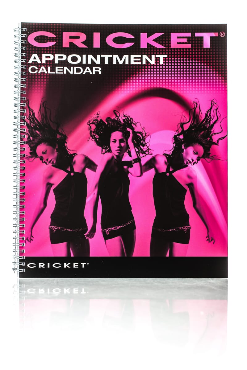 CRICKET 4 COLUMN APPOINTMENT SCHEDULER 140 PAGES